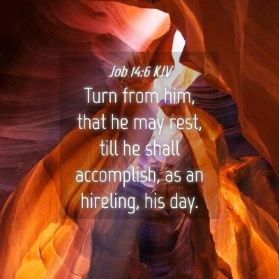 Picture 04 - Job 14:6 KJV - Turn from him, that he may rest, till he shall - Bible Verse Picture