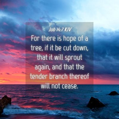 Picture 04 - Job 14:7 KJV - For there is hope of a tree, if it be cut down, - Bible Verse Picture