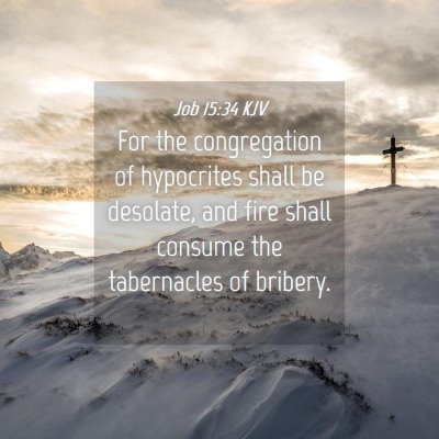 Picture 04 - Job 15:34 KJV - For the congregation of hypocrites shall be - Bible Verse Picture
