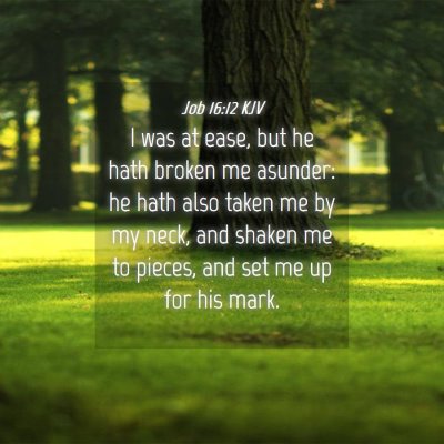 Picture 04 - Job 16:12 KJV - I was at ease, but he hath broken me asunder: he - Bible Verse Picture