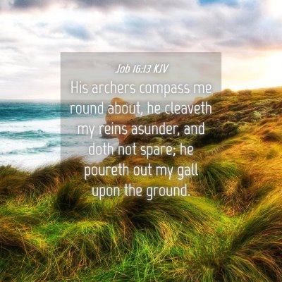 Picture 04 - Job 16:13 KJV - His archers compass me round about, he cleaveth - Bible Verse Picture