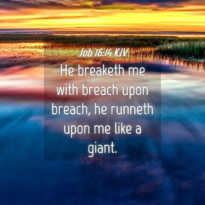 Picture 04 - Job 16:14 KJV - He breaketh me with breach upon breach, he - Bible Verse Picture