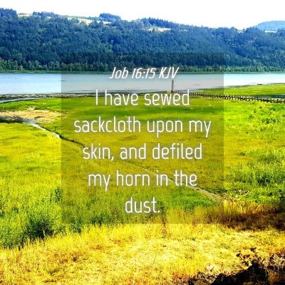Picture 04 - Job 16:15 KJV - I have sewed sackcloth upon my skin, and defiled - Bible Verse Picture
