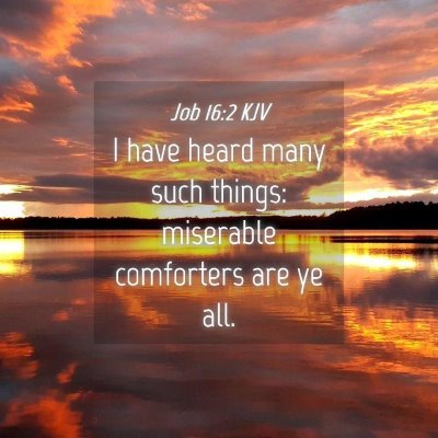 Picture 04 - Job 16:2 KJV - I have heard many such things: miserable - Bible Verse Picture