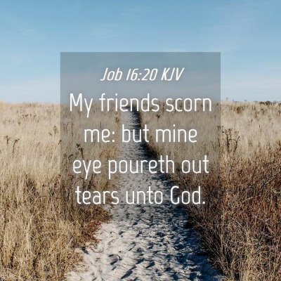Picture 04 - Job 16:20 KJV - My friends scorn me: but mine eye poureth out - Bible Verse Picture