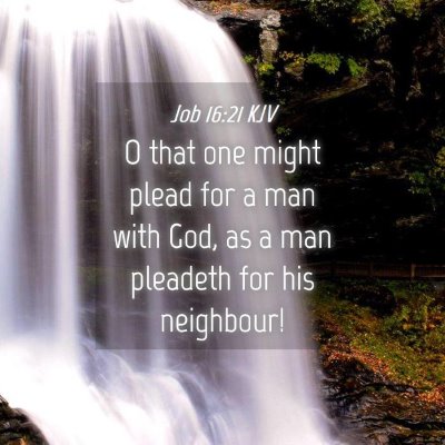 Picture 04 - Job 16:21 KJV - O that one might plead for a man with God, as a - Bible Verse Picture
