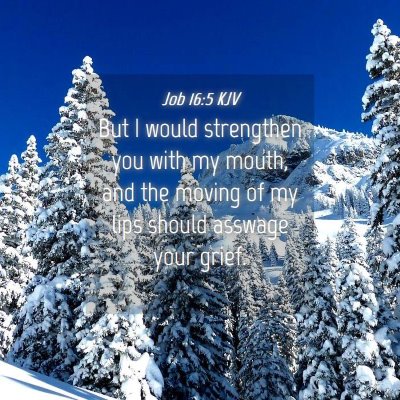 Picture 04 - Job 16:5 KJV - But I would strengthen you with my mouth, and the - Bible Verse Picture