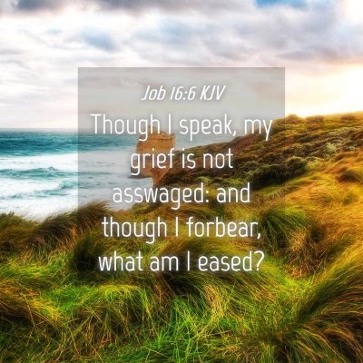 Picture 04 - Job 16:6 KJV - Though I speak, my grief is not asswaged: and - Bible Verse Picture