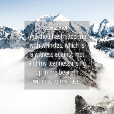 Picture 04 - Job 16:8 KJV - And thou hast filled me with wrinkles, which is a - Bible Verse Picture