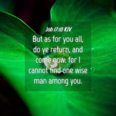 Picture 04 - Job 17:10 KJV - But as for you all, do ye return, and come now: - Bible Verse Picture