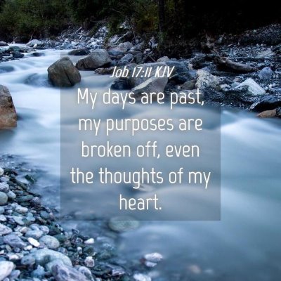 Picture 04 - Job 17:11 KJV - My days are past, my purposes are broken off, - Bible Verse Picture