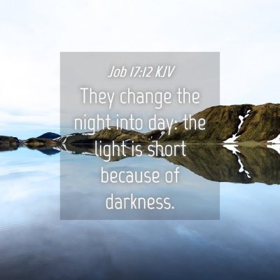 Picture 04 - Job 17:12 KJV - They change the night into day: the light is - Bible Verse Picture