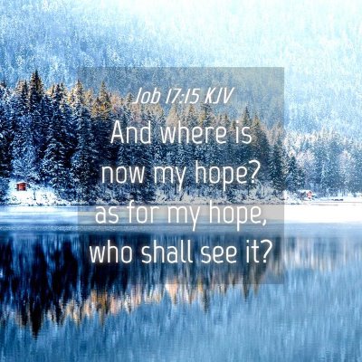Picture 04 - Job 17:15 KJV - And where is now my hope? as for my hope, who - Bible Verse Picture