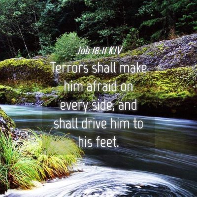 Picture 04 - Job 18:11 KJV - Terrors shall make him afraid on every side, and - Bible Verse Picture