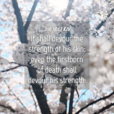 Picture 04 - Job 18:13 KJV - It shall devour the strength of his skin: even - Bible Verse Picture