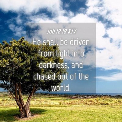 Picture 04 - Job 18:18 KJV - He shall be driven from light into darkness, and - Bible Verse Picture