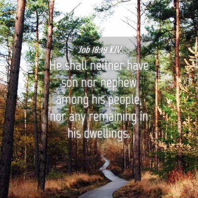 Picture 04 - Job 18:19 KJV - He shall neither have son nor nephew among his - Bible Verse Picture