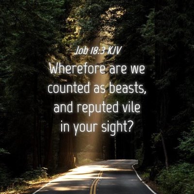 Picture 04 - Job 18:3 KJV - Wherefore are we counted as beasts, and reputed - Bible Verse Picture