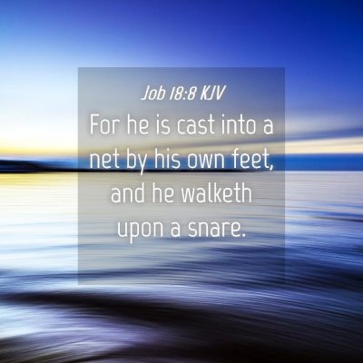 Picture 04 - Job 18:8 KJV - For he is cast into a net by his own feet, and he - Bible Verse Picture