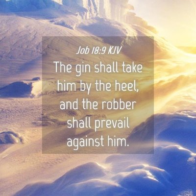 Picture 04 - Job 18:9 KJV - The gin shall take him by the heel, and the - Bible Verse Picture