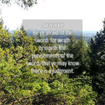 Picture 04 - Job 19:29 KJV - Be ye afraid of the sword: for wrath bringeth the - Bible Verse Picture