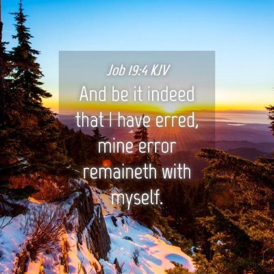 Picture 04 - Job 19:4 KJV - And be it indeed that I have erred, mine error - Bible Verse Picture