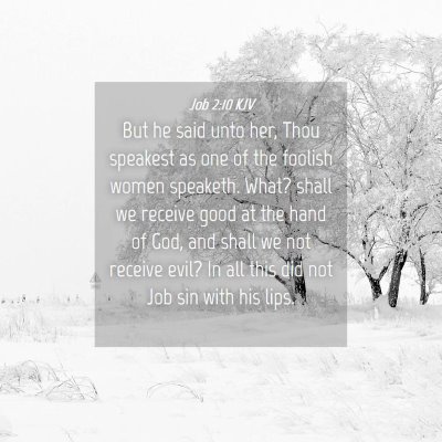 Picture 04 - Job 2:10 KJV - But he said unto her, Thou speakest as one of the - Bible Verse Picture