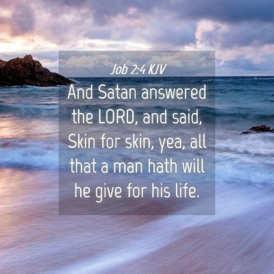 Picture 04 - Job 2:4 KJV - And Satan answered the LORD, and said, Skin for - Bible Verse Picture