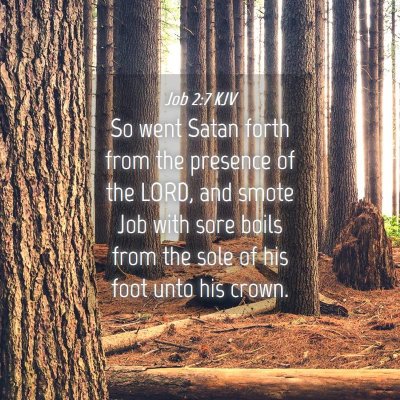 Picture 04 - Job 2:7 KJV - So went Satan forth from the presence of the - Bible Verse Picture
