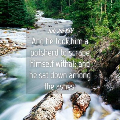 Picture 04 - Job 2:8 KJV - And he took him a potsherd to scrape himself - Bible Verse Picture