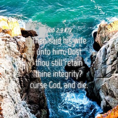 Picture 04 - Job 2:9 KJV - Then said his wife unto him, Dost thou still - Bible Verse Picture