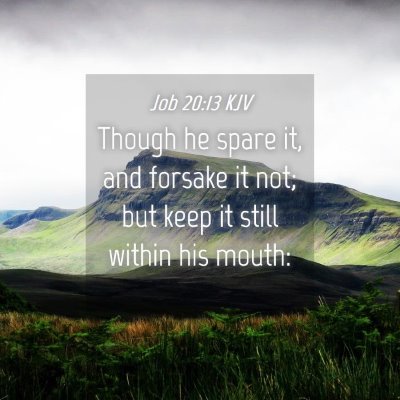 Picture 04 - Job 20:13 KJV - Though he spare it, and forsake it not; but keep - Bible Verse Picture