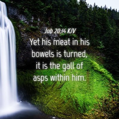 Picture 04 - Job 20:14 KJV - Yet his meat in his bowels is turned, it is the - Bible Verse Picture