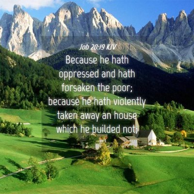 Picture 04 - Job 20:19 KJV - Because he hath oppressed and hath forsaken the - Bible Verse Picture