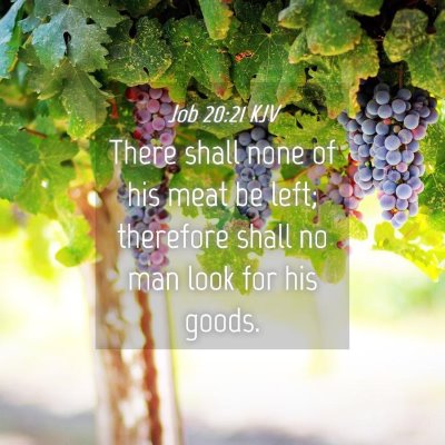 Picture 04 - Job 20:21 KJV - There shall none of his meat be left; therefore - Bible Verse Picture