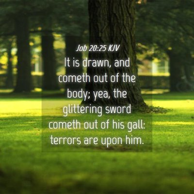 Picture 04 - Job 20:25 KJV - It is drawn, and cometh out of the body; yea, the - Bible Verse Picture