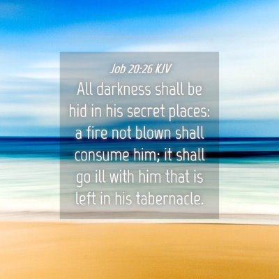 Picture 04 - Job 20:26 KJV - All darkness shall be hid in his secret places: a - Bible Verse Picture