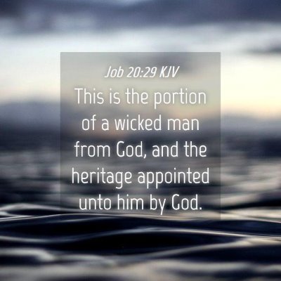 Picture 04 - Job 20:29 KJV - This is the portion of a wicked man from God, and - Bible Verse Picture