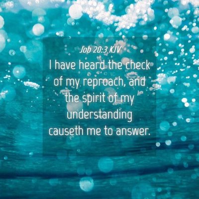 Picture 04 - Job 20:3 KJV - I have heard the check of my reproach, and the - Bible Verse Picture