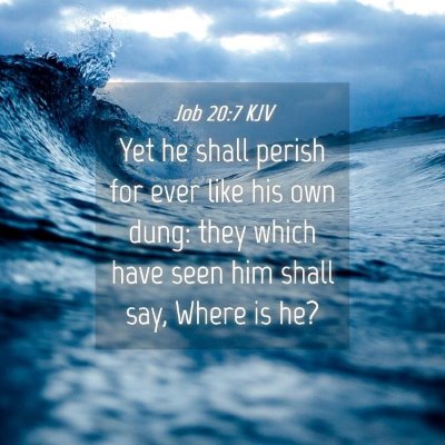 Picture 04 - Job 20:7 KJV - Yet he shall perish for ever like his own dung: - Bible Verse Picture