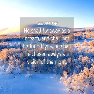 Picture 04 - Job 20:8 KJV - He shall fly away as a dream, and shall not be - Bible Verse Picture