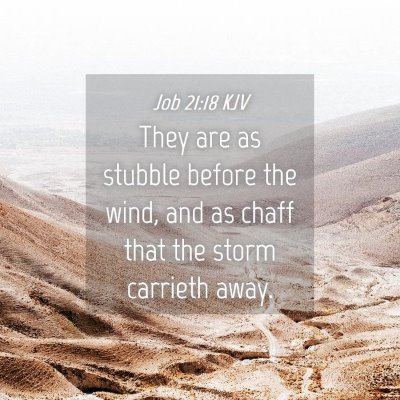 Picture 04 - Job 21:18 KJV - They are as stubble before the wind, and as chaff - Bible Verse Picture