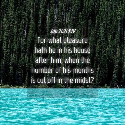 Picture 04 - Job 21:21 KJV - For what pleasure hath he in his house after him, - Bible Verse Picture