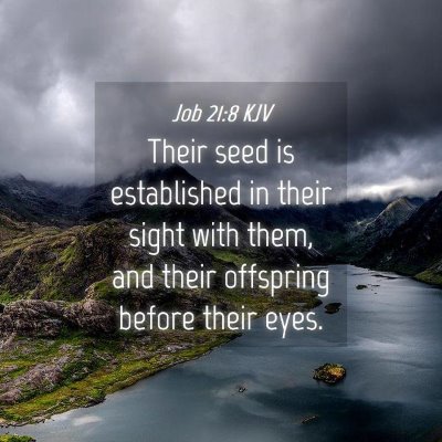 Picture 04 - Job 21:8 KJV - Their seed is established in their sight with - Bible Verse Picture