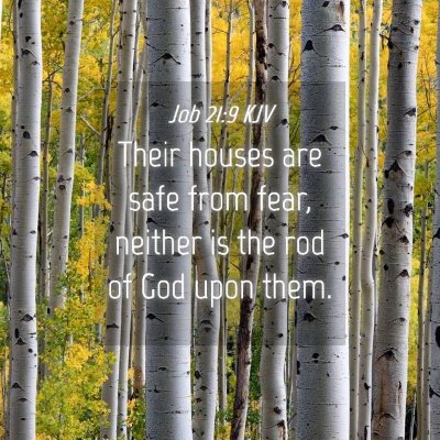 Picture 04 - Job 21:9 KJV - Their houses are safe from fear, neither is the - Bible Verse Picture