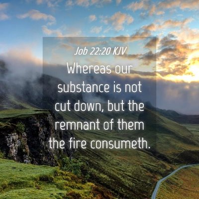 Picture 04 - Job 22:20 KJV - Whereas our substance is not cut down, but the - Bible Verse Picture