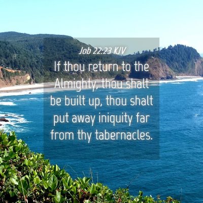 Picture 04 - Job 22:23 KJV - If thou return to the Almighty, thou shalt be - Bible Verse Picture