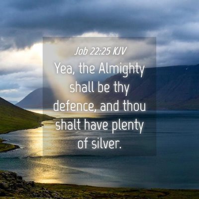 Picture 04 - Job 22:25 KJV - Yea, the Almighty shall be thy defence, and thou - Bible Verse Picture