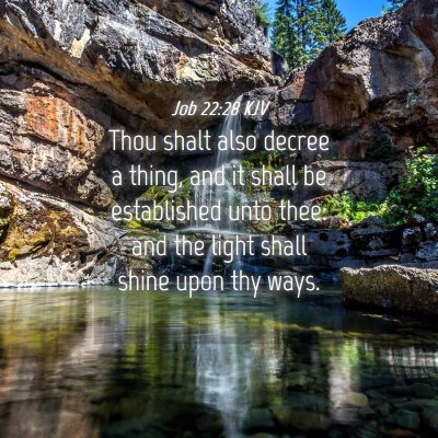 Picture 04 - Job 22:28 KJV - Thou shalt also decree a thing, and it shall be - Bible Verse Picture