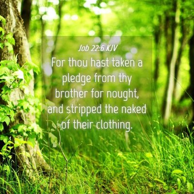 Picture 04 - Job 22:6 KJV - For thou hast taken a pledge from thy brother for - Bible Verse Picture